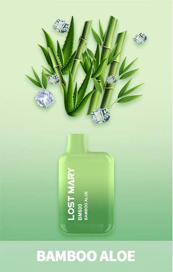 Lost Mary Bomboo Aloe Vape Kit